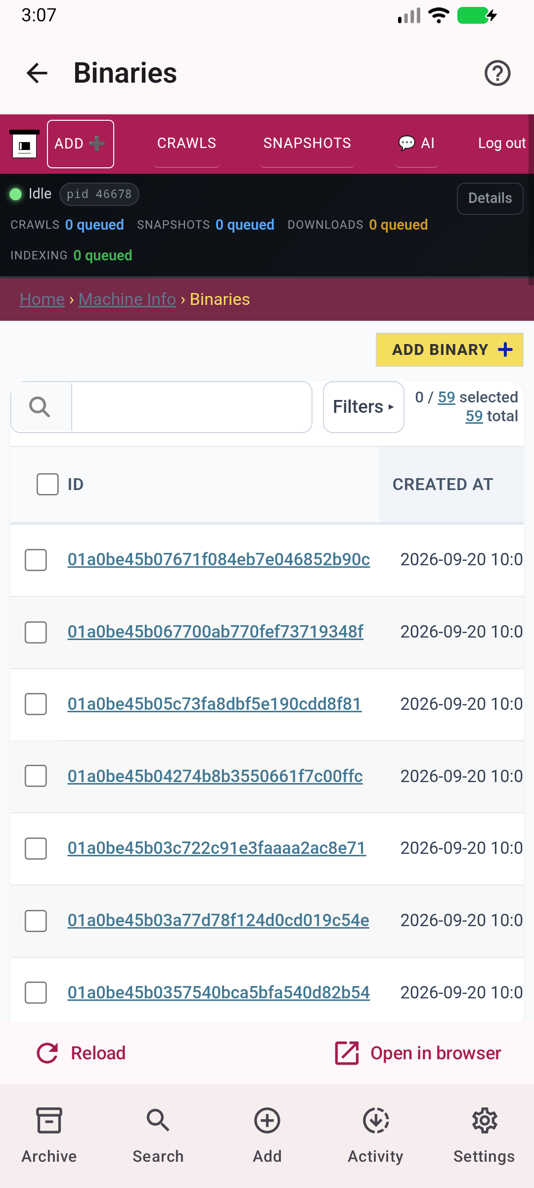 Installed binaries — See real capture executables available to the server.